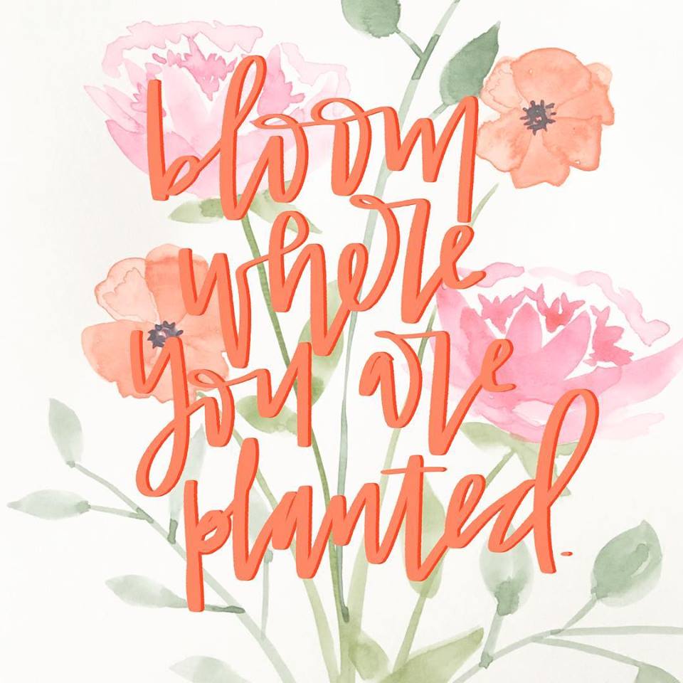 Bloom Where You Are Planted - Joy By Jess