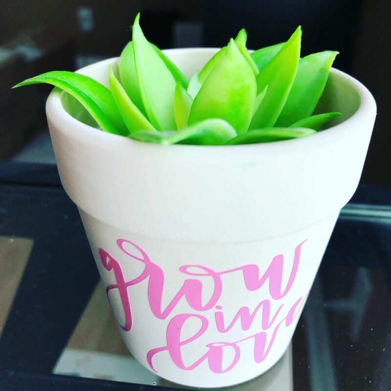 Grow in Love Potted Plant